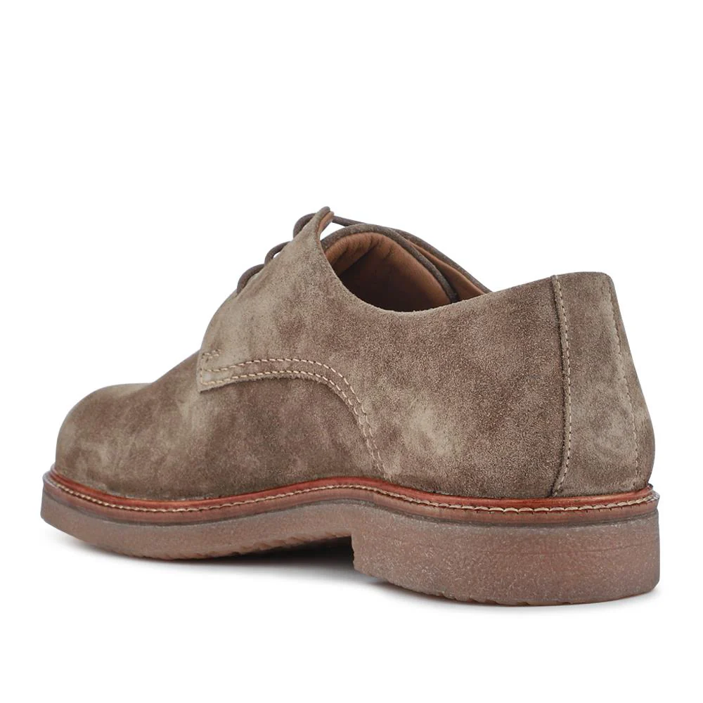 Lance Suede Leather Casual Lace Up Shoes - LANCE / 328 072 - Taupe Suede - Image 3