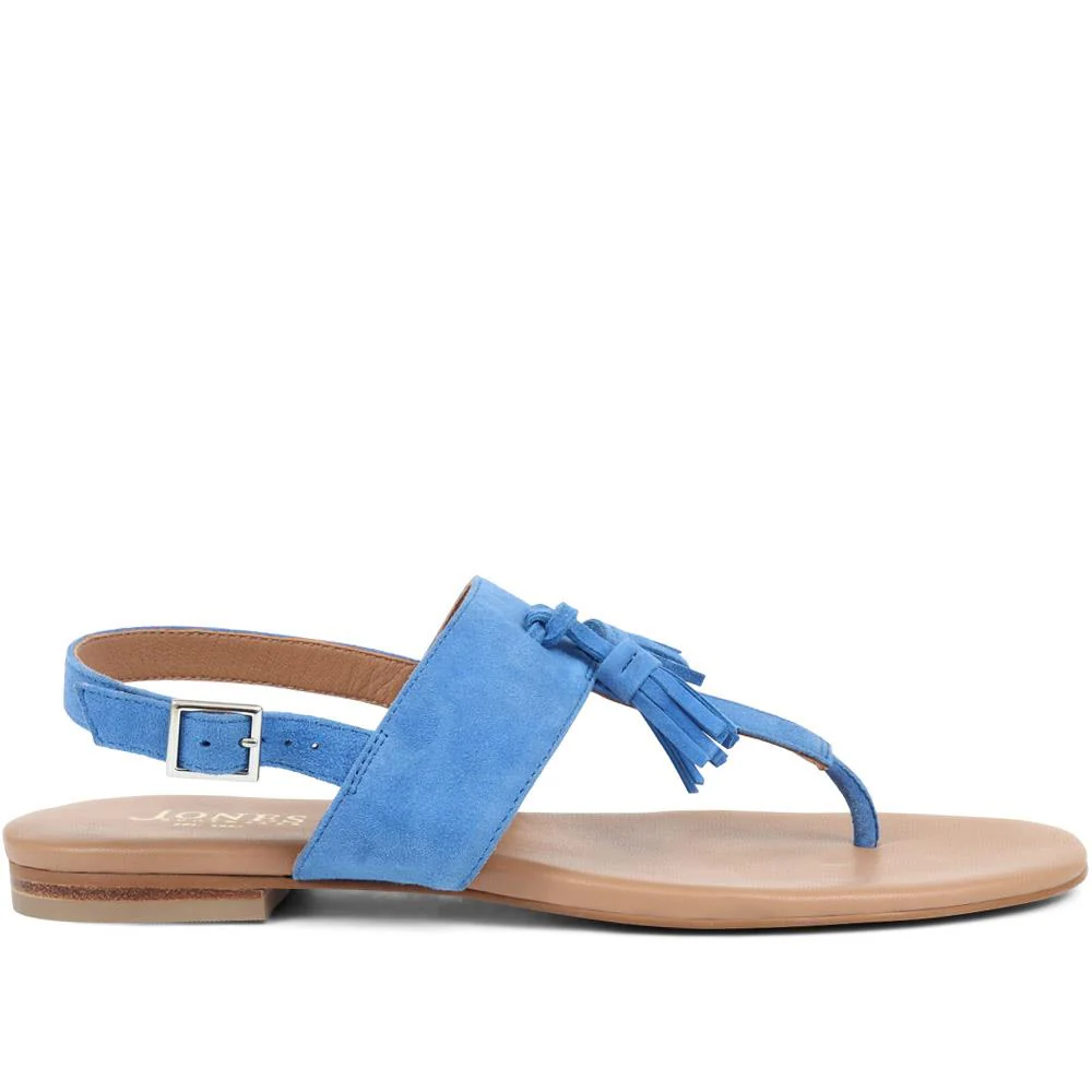 Lizabeth Leather Thong Sandals - LIZABETH / 323 350 - Blue - Image 2