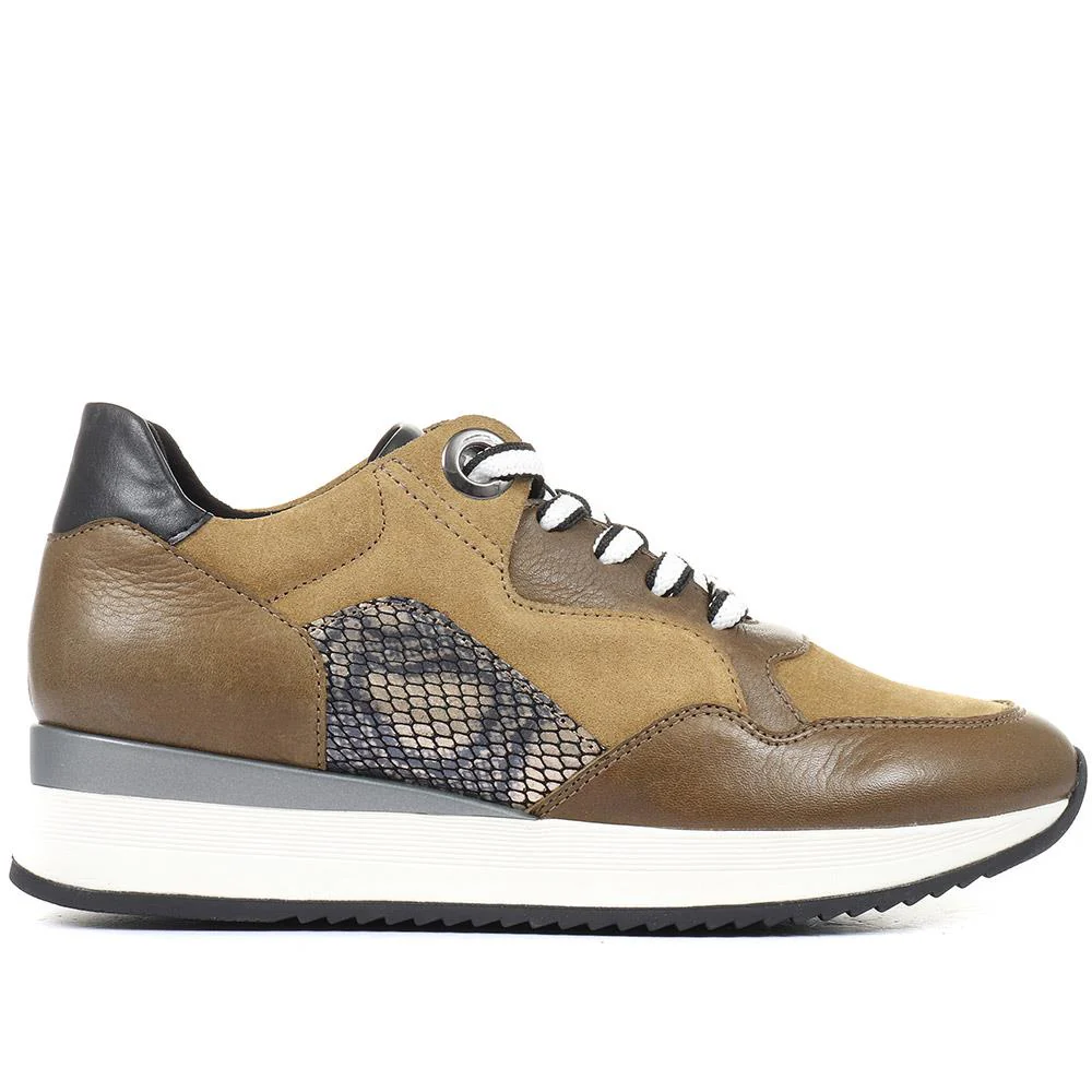 Ray Leather Trainers - SINO34531 / 320 748 - Khaki Multi - Image 2