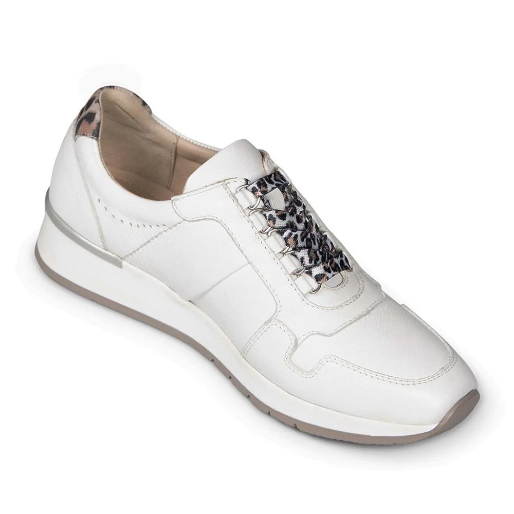 Sport Lux - REYDON - Image 3